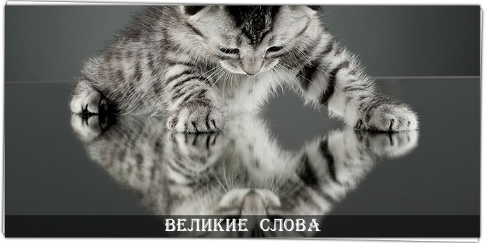   -    ,    ,   ...