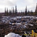 Фото Сергей, Новосибирск, 53 года - добавлено 3 января 2016