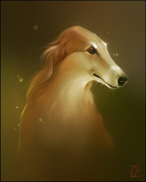 by Gaudi Buendia - 4