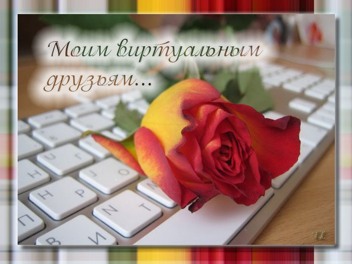  - 8  2015  18:53