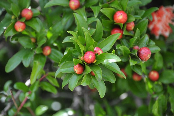   - 27  2016  22:51 - 33