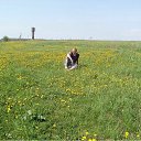 ���� ������, ������������� - ��������� 11 ������ 2016