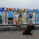  ,  -  24  2015    2015 