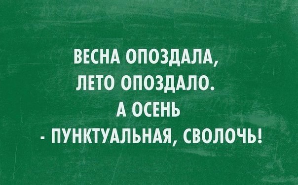   - 9  2015  08:31