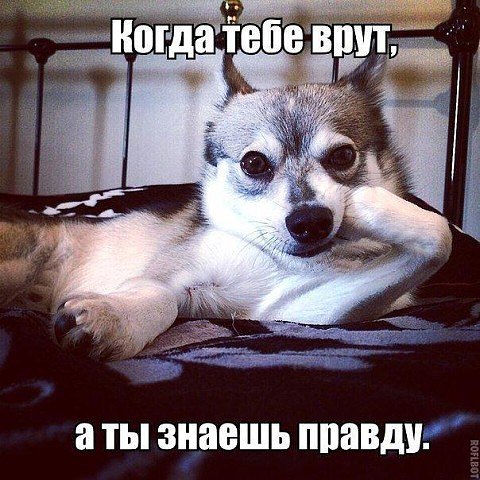 - 4  2016  12:57