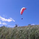 ���� ����, ��������, 51 ��� - ��������� 28 �������� 2015 � ������ ���� ����������