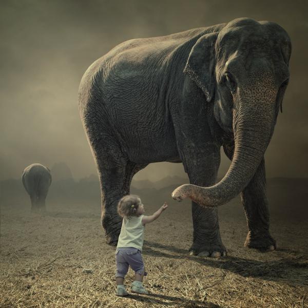    (Caras Ionut)..       ... - 18