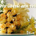���� �����, �������� - ��������� 9 ����� 2016 � ������ ��������� ����������...�