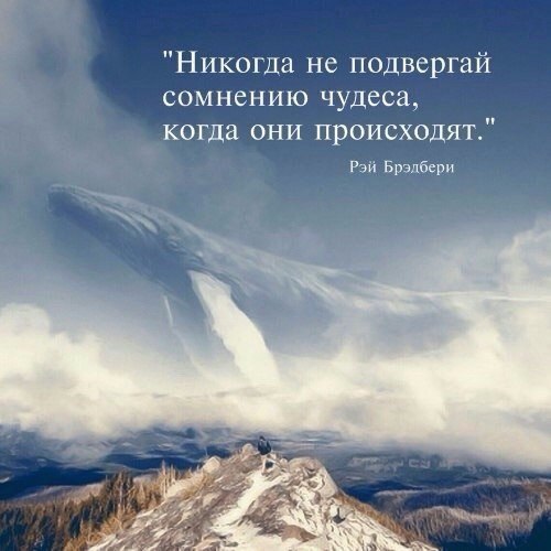   ,    . - 3