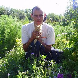 ���� �����, ���������, 44 ���� - ��������� 18 ������� 2015