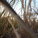  ,  -  24  2015   20.11.2015.