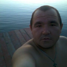 ������, ���������, 37 ���