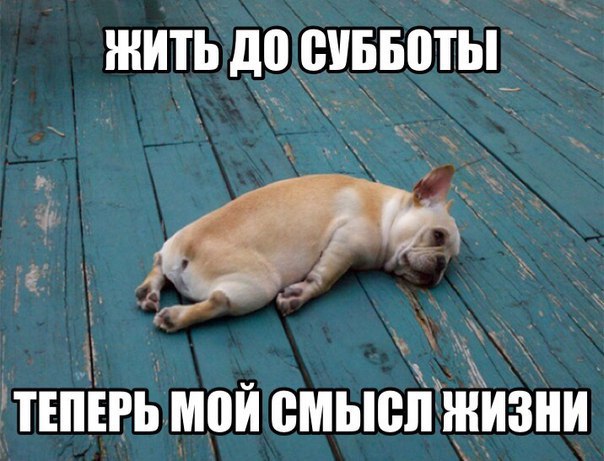     - 20  2016  15:41