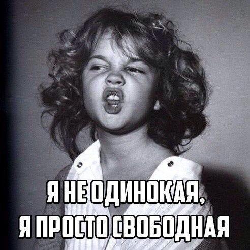   - 15  2016  16:37
