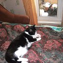  , -, 45  -  27  2015    