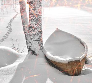 -     ,     .    - 5