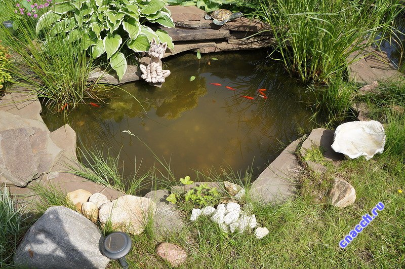 дизайн сада,дома и другое - 19 января 2016 в 13:32