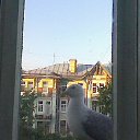 ���� ������, �����-���������, 73 ���� - ��������� 14 ������� 2016 � ������ ������ ��������