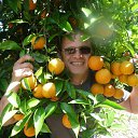 ���� ������, ������, 44 ���� - ��������� 12 ������� 2015