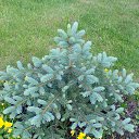 ���� ������, ������ - ��������� 3 ������ 2016 � ������ ���� ����������