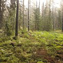  ******, , 53  -  30  2015    