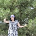 ���� �������, ���������, 42 ���� - ��������� 8 ������� 2016 � ������ ���� ����������