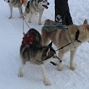  , , 69  -  8  2016   .  