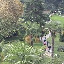  Aleksa , , 45  -  14  2015   