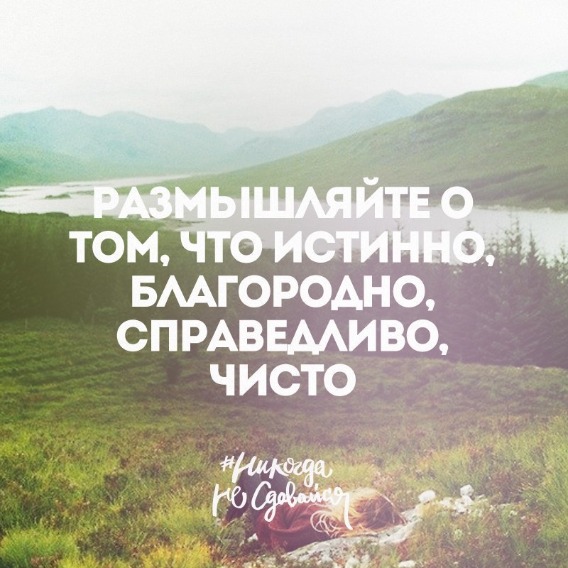 ����� - ��� ����� - 13 ������ 2015 � 10:27