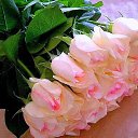 ���� �������, �����, 64 ���� - ��������� 22 ������� 2015 � ������ ������ ��������