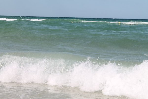 �����, Novostar Palmyra 3*, 2014