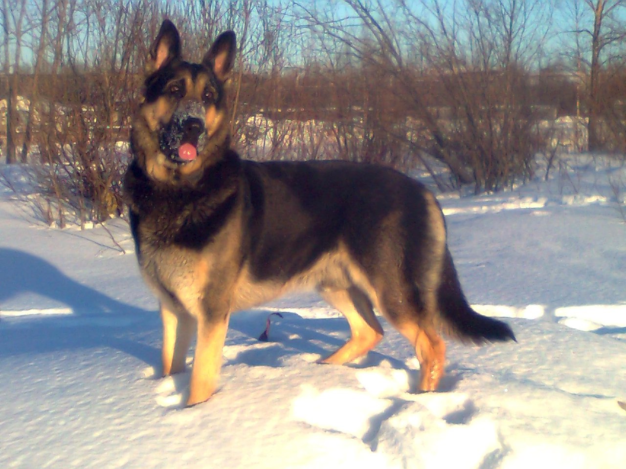   - 3  2015  12:03 - 2