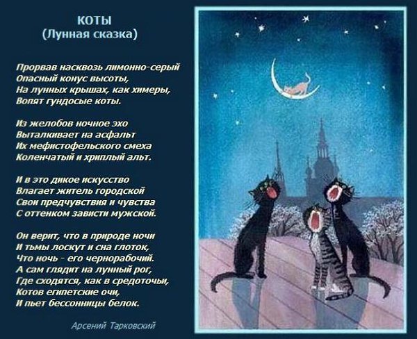 Лунный кот текст песни