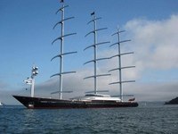 C      Maltese Falcon ( )    Perini ... - 4