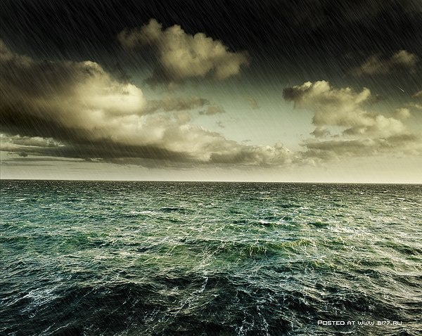   -  Craig Easton