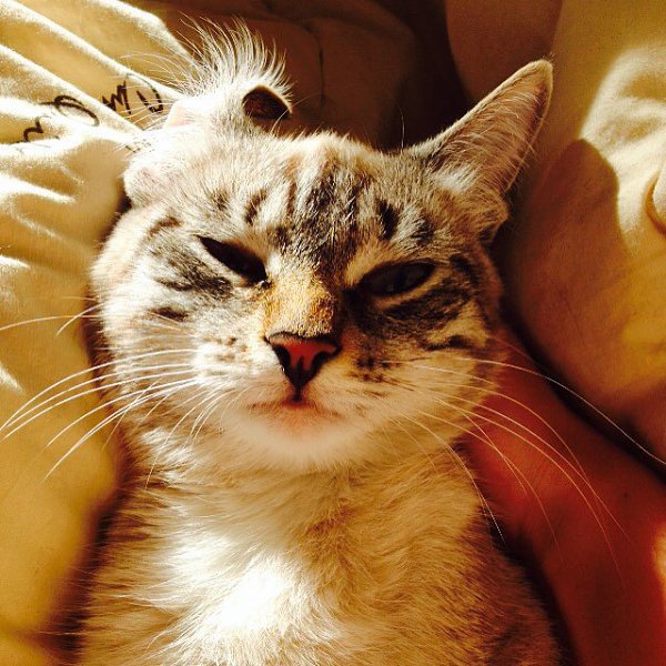  . 15  2014    ,          ... - 7