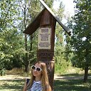              .        .        &quot; ...&quot;,     .      ,          .    2015