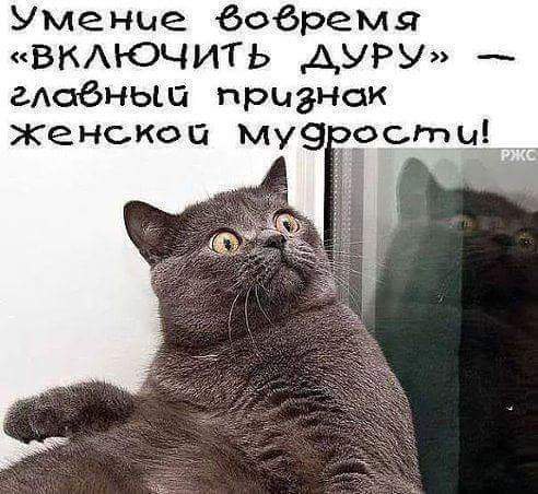    - ,      ,      , ... - 5