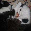 ���� ������, ���������, 45 ��� - ��������� 11 ������ 2016 � ������ ������