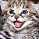 ���� ���� ������ 63 ��, ��������, 38 ��� - ��������� 28 ������ 2016 � ������ ���� ����������