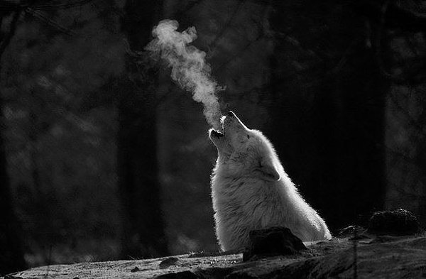 ������� ���� �������� ��� �������, ������ ���� �������� ��� ������, ������ � ����� ��� ����, � ...