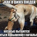 ���� ������, ������, 52 ���� - ��������� 12 ������� 2015 � ������ ������ ��������