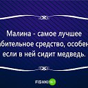  ,   -  29  2015