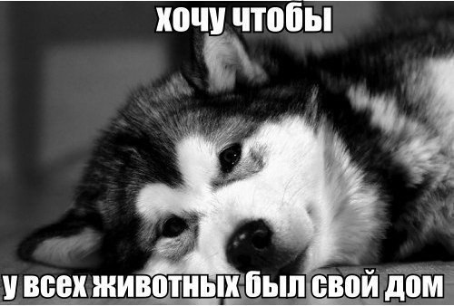 Art & Fun - 27  2015  05:02