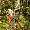 ���� �������, ����, 73 ���� - ��������� 5 ������� 2015 � ������ ���� ����������