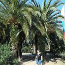 ���� �������, ������ �������� - ��������� 27 �������� 2015 � ������ ���� ����������