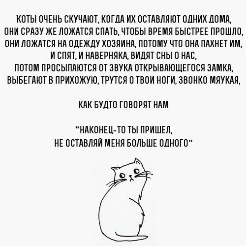  -  - 17  2016  19:25