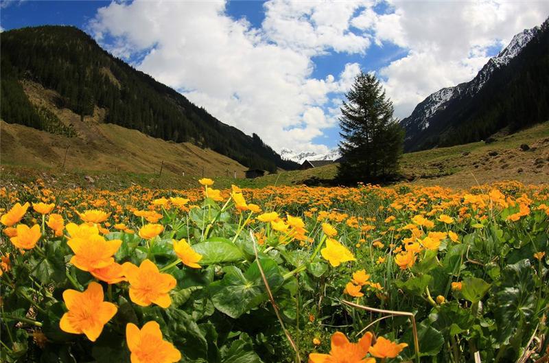   ,   ,       ,   ... - 6