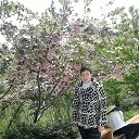 ���� ���, ������ , 41 ��� - ��������� 10 ������� 2015 � ������ ���� ����������