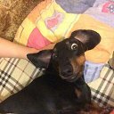 ���� Ice, ������ - ��������� 21 ������ 2015 � ������ ���������� ������